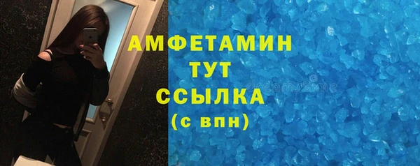 гидра Осинники