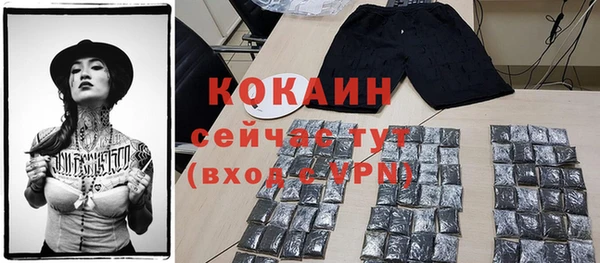 гидра Осинники