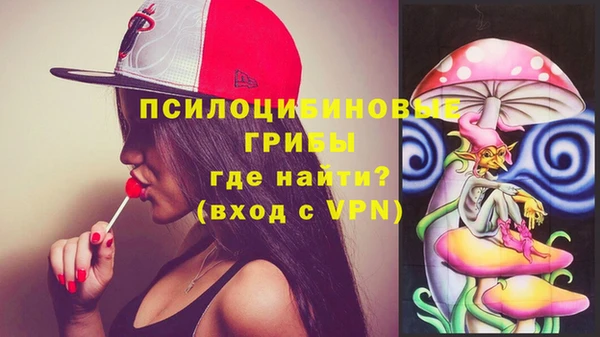 гидра Осинники