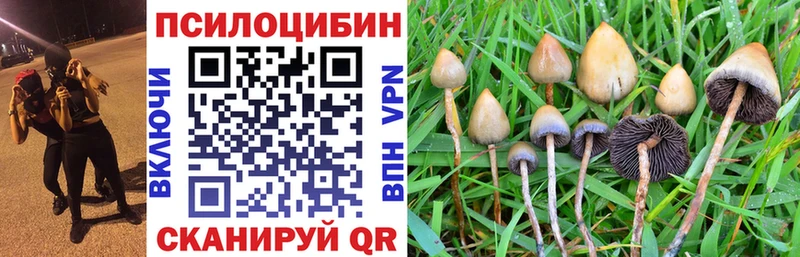 Псилоцибиновые грибы мицелий  Мамадыш 